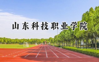 山东科技职业学院2024在青海录取分数线是多少？最低268分/最高303分