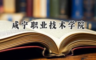 咸宁职业技术学院2024在江苏录取分数线是多少？最低238分/最高387分