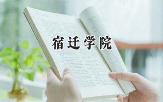 宿迁学院2024在上海录取分数线是多少？最低437分/最高444分