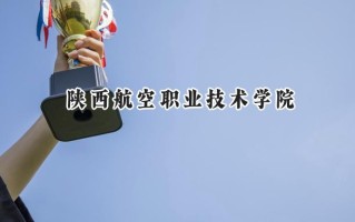 陕西航空职业技术学院2024在青海录取分数线是多少？最低291分/最高328分