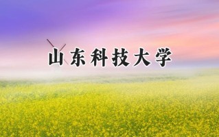 山东科技大学2024在上海录取分数线是多少？最低453分/最高485分