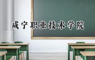 咸宁职业技术学院2024在内蒙古录取分数线是多少？最低231分/最高319分