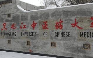 黑龙江中医药大学2024年各学科排名一览表！附教育部评级比例