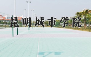 2024年昆明城市学院录取分数线，新疆最低276分