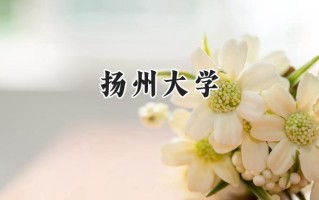 扬州大学2024在上海录取分数线是多少？最低501分/最高524分