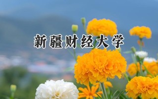 新疆财经大学2024在福建录取分数线是多少？最低465分/最高524分