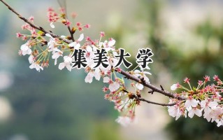 集美大学2024在福建录取分数线是多少？最低534分/最高584分