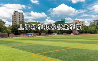 2024上海科学技术职业学院录取分数线：江苏最低411分