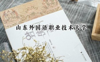 山东外国语职业技术大学2024在山东录取分数线是多少？最低151分/最高491分