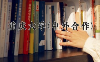 2025年重庆大学(中外合作)在四川计划招生人数（附学费及专业录取分)
