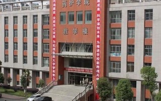 2024湖北医药学院药护学院录取分数线，重庆录取最低分521