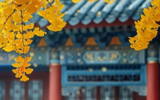 2024年湖北中医药大学在广东计划招生人数（附学费及专业录取分）