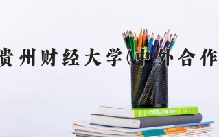2024贵州财经大学(中外合作)录取分数线，重庆录取最低分469