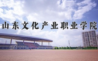 辽宁考生多少分能上山东文化产业职业学院？2025最低244分