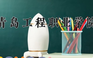 2025年青岛工程职业学院在河北计划招生人数（附学费及专业录取分)