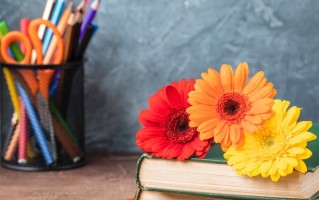 2024年湖北中医药高等专科学校在广东计划招生人数（附学费及专业录取分）