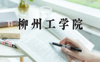 柳州工学院王牌专业排名-含2024年全国各省录取最低分数线