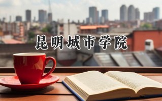 昆明城市学院2024在内蒙古录取分数线是多少？最低360分/最高410分