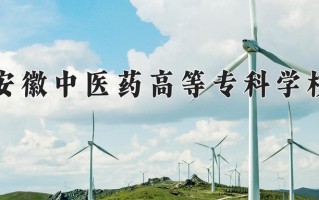 广西330分能上什么好大学？附2025年可以报考的大学名单