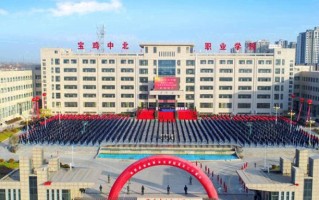2024年宝鸡中北职业学院录取分数线，河北最低307分