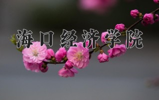 2024年海口经济学院录取分数线，新疆最低142分