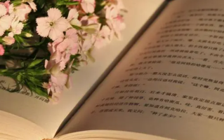 2024年山东高考艺术类本科批志愿是如何设置的？考生该如何填报？