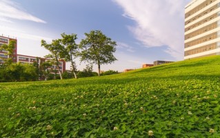 马耳他语专业好找工作吗？附2025年马耳他语专业就业方向及前景
