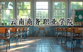 云南商务职业学院2024在浙江录取分数线是多少？最低269分/最高320分