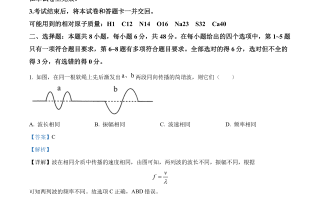 2024年九省联考理科综合试题及答案解析（河南卷）