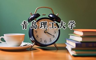 2024青岛理工大学录取分数线：陕西最低472分