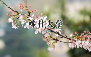 喀什大学2024在上海录取分数线是多少？最低408分/最高418分