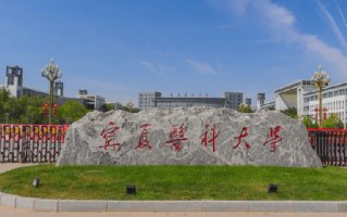 宁夏医药类大学排名-2024年宁夏医药类最新高校排行榜