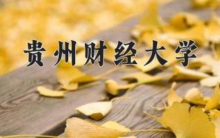 贵州财经大学全国排名及2024年最低录取分数线