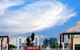 2024年南阳医学高等专科学校录取分数线，河北最低430分
