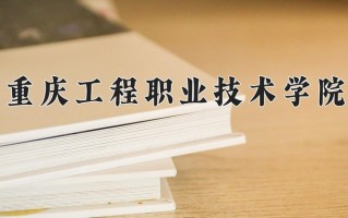 2025年重庆工程职业技术学院在四川计划招生人数（附学费及专业录取分)