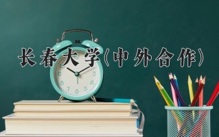 2025年长春大学(中外合作)在四川计划招生人数（附学费及专业录取分)