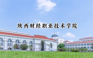 2024陕西财经职业技术学院录取分数线：陕西最低376分