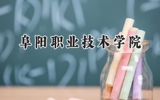2024阜阳职业技术学院录取分数线：江苏最低434分