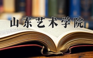 山东艺术学院最厉害的专业-2024山东艺术学院最好专业
