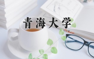 2024青海大学录取分数线，重庆录取最低分550