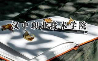汉中职业技术学院2024在山东录取分数线是多少？最低399分/最高469分