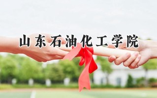 山东石油化工学院2024在福建录取分数线是多少？最低504分/最高526分