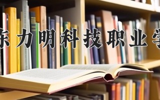 2024山东力明科技职业学院录取分数线：浙江最低430分