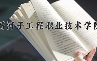 2025年石河子工程职业技术学院在河北计划招生人数（附学费及专业录取分)