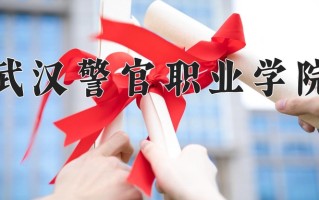 2025年武汉警官职业学院在四川计划招生人数（附学费及专业录取分)