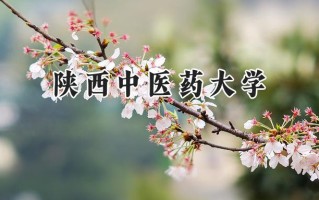 2024陕西中医药大学录取分数线：山西最低538分