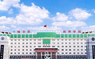 哈尔滨剑桥学院王牌专业排名-含2024年全国各省录取最低分数线