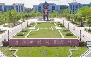2024年资阳口腔职业学院录取分数线，河北最低370分