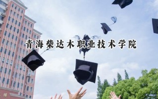 青海柴达木职业技术学院2024在青海录取分数线是多少？最低254分/最高309分
