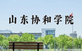 陕西161分能上什么大学？附2025年可以报考的大学名单